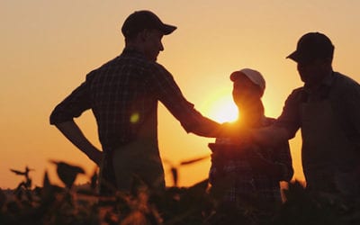 Estate Planning for the Family Farm and Your Legacy